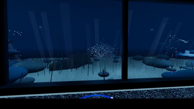 Ocean Wonders